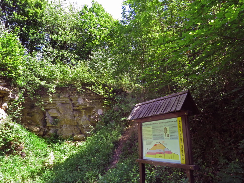 Kalk-Steinbruch Fischerberg bei Beckingen