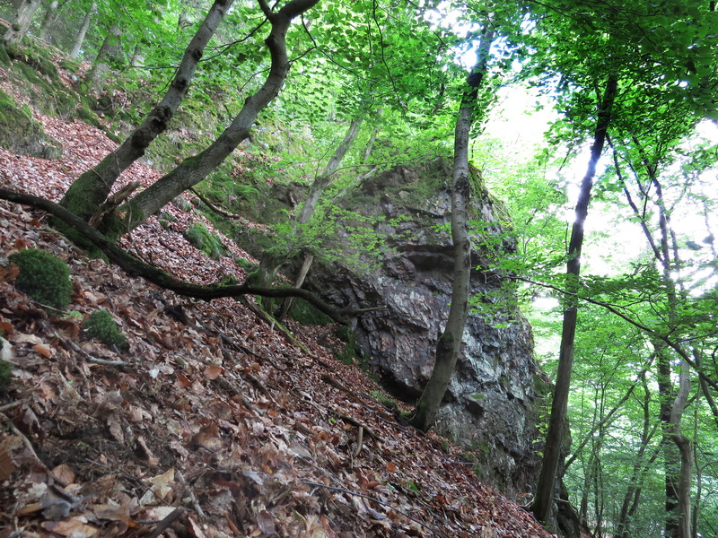 Naheaue bei Nohfelden