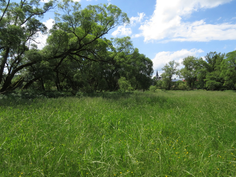 Osteraue bei Werschweiler