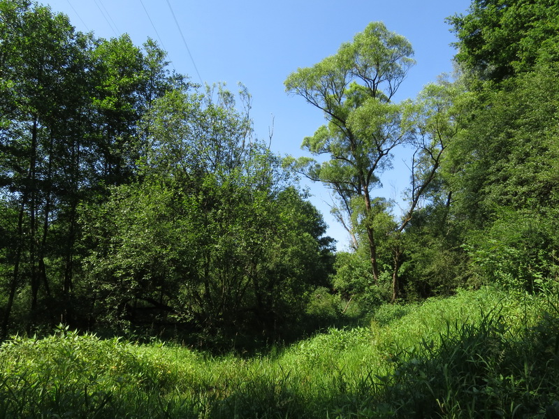 Fahrbachtal bei Schiffweiler