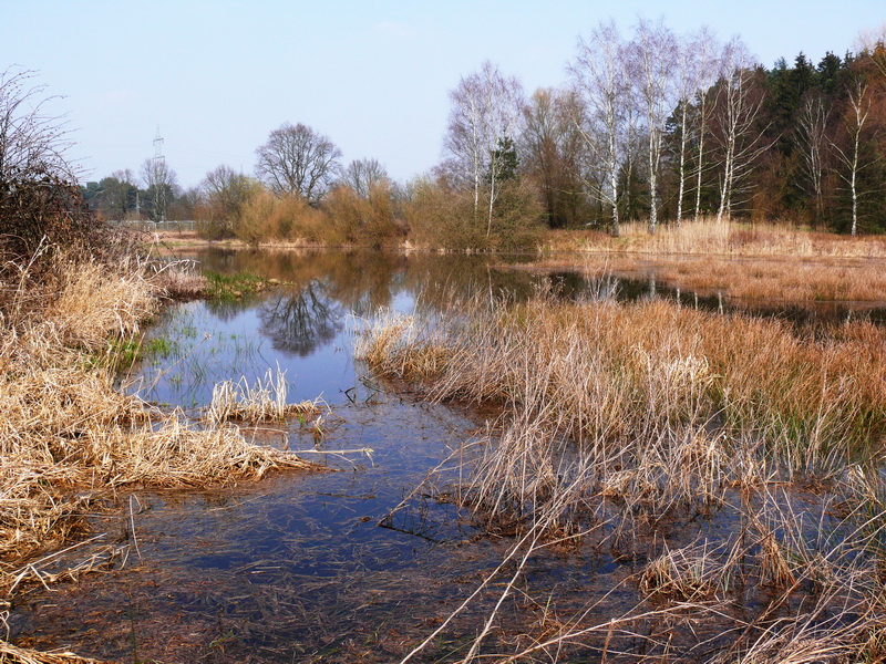 Marksweiher bei Wörschweiler