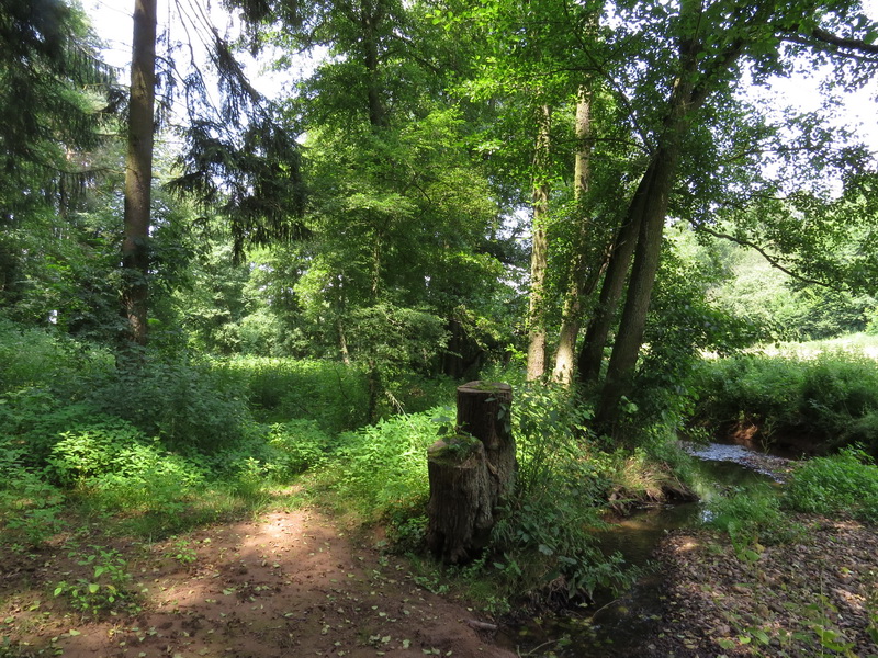 Wahlbachtal bei Berschweiler