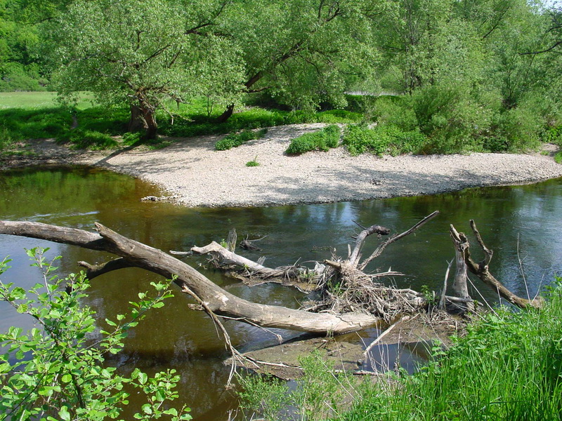 Niedaue bei Niedaltdorf