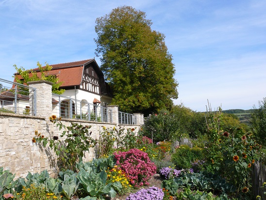 Haus Lochfeld bei Wittersheim