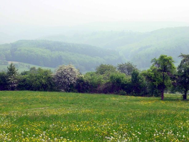 Biotopverbundsysteme, Auf dem Heidborn