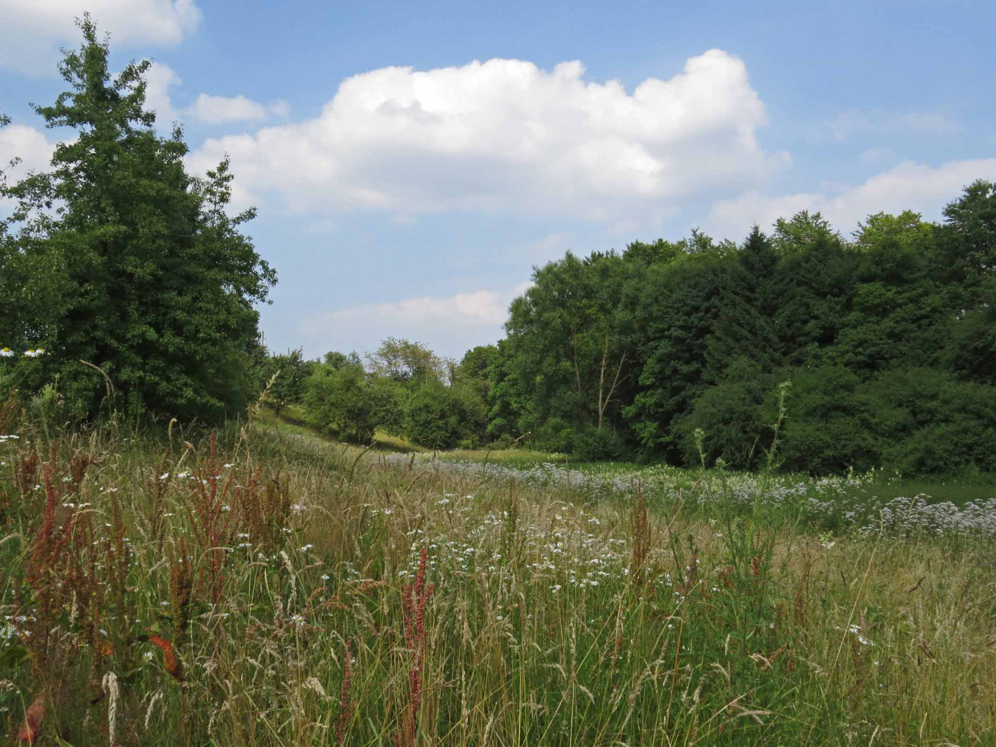 Steinbachtal bei Büschdorf