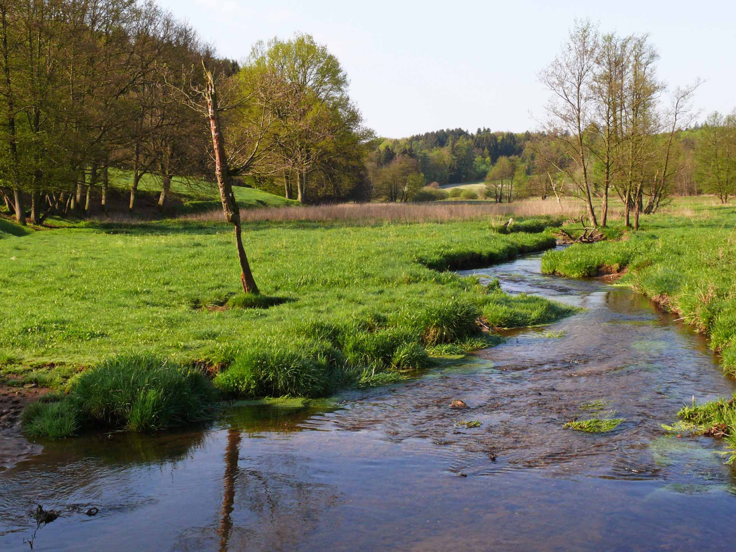 Hölzbachaue und Wachtelkopf bei Rappweiler