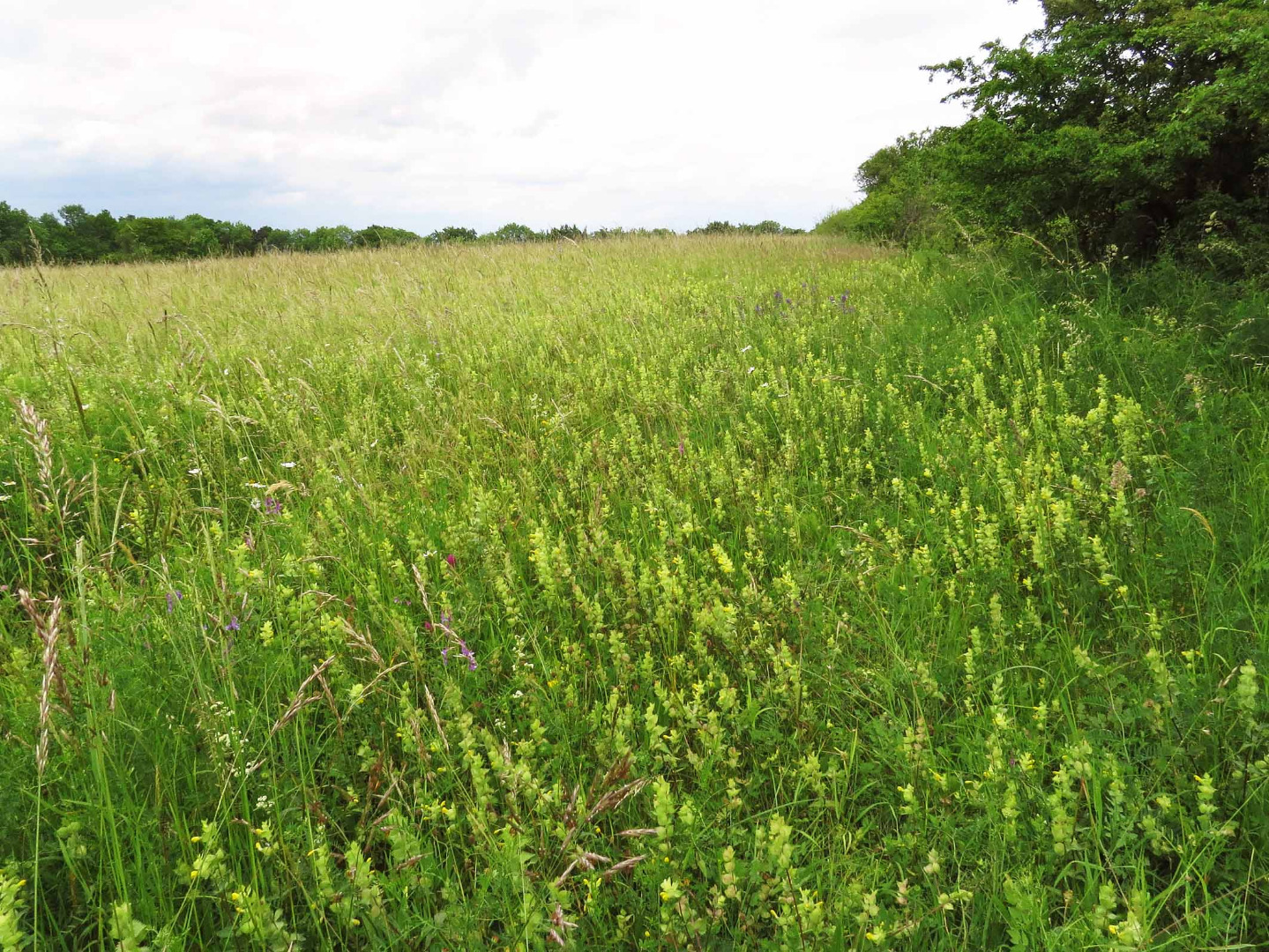 Hammelsberg bei Perl