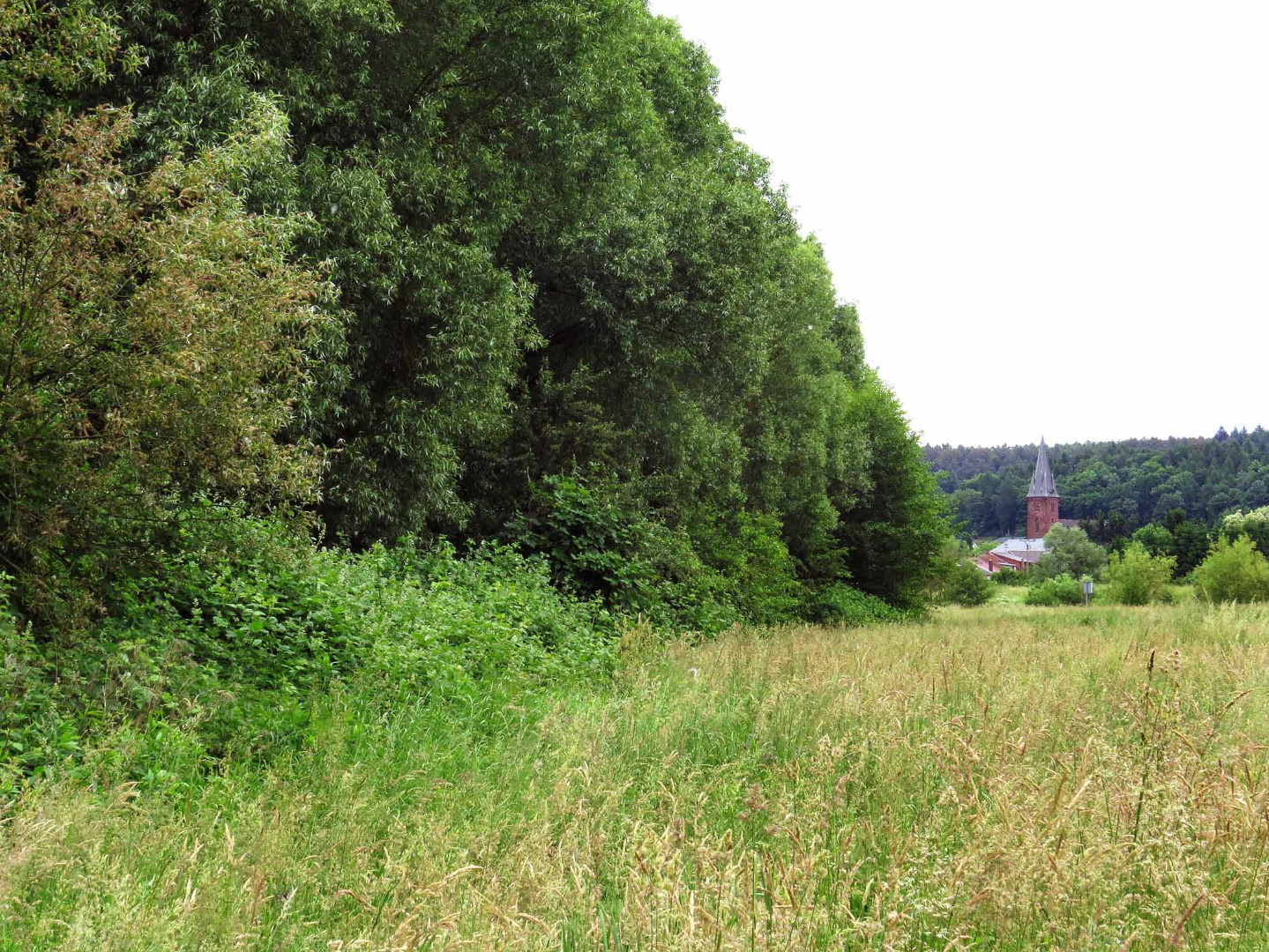 Altarm Schwemlingen in der Saaraue bei Besseringen