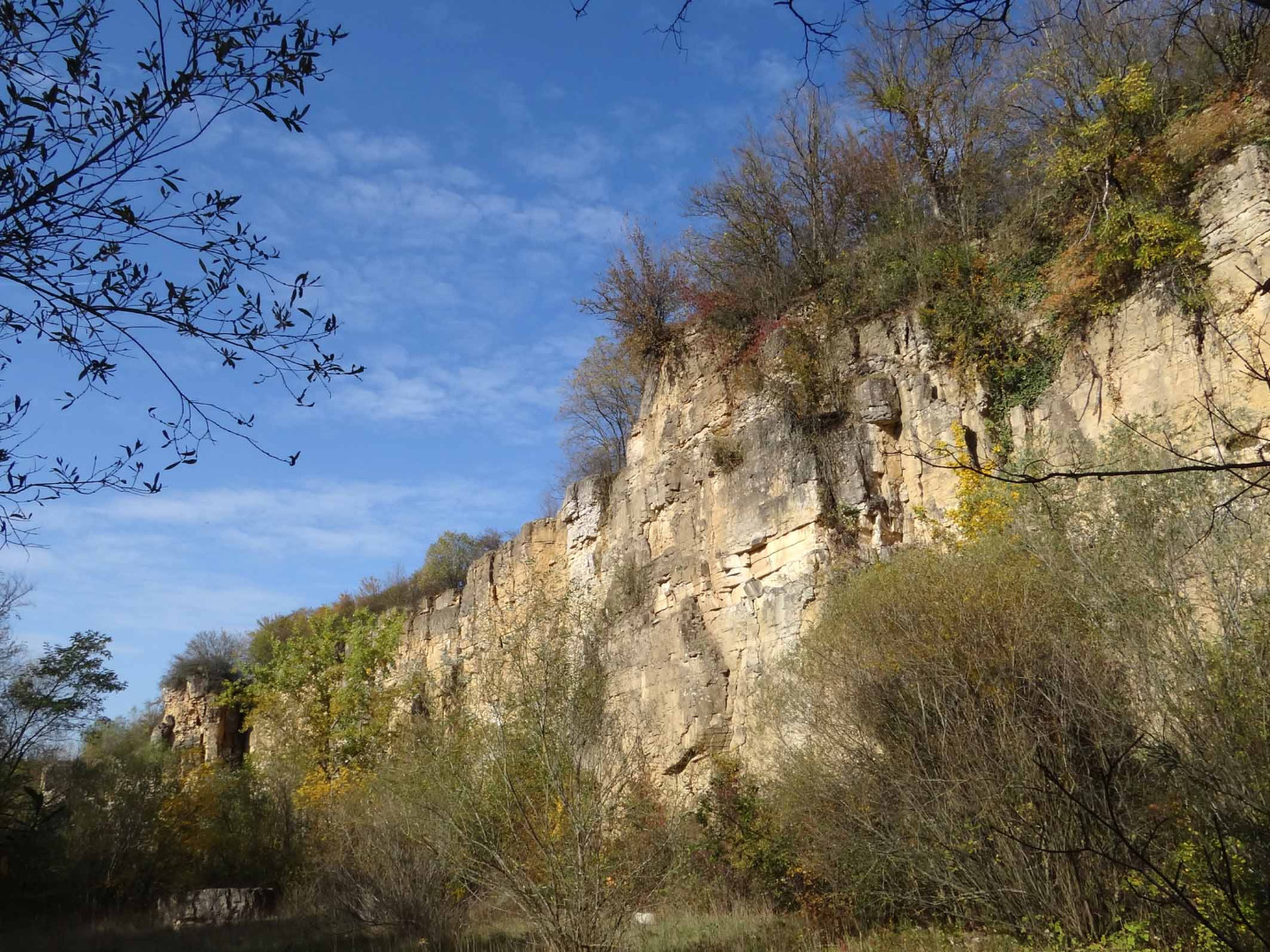 Kalk-Steinbruch Sauzy bei Nennig