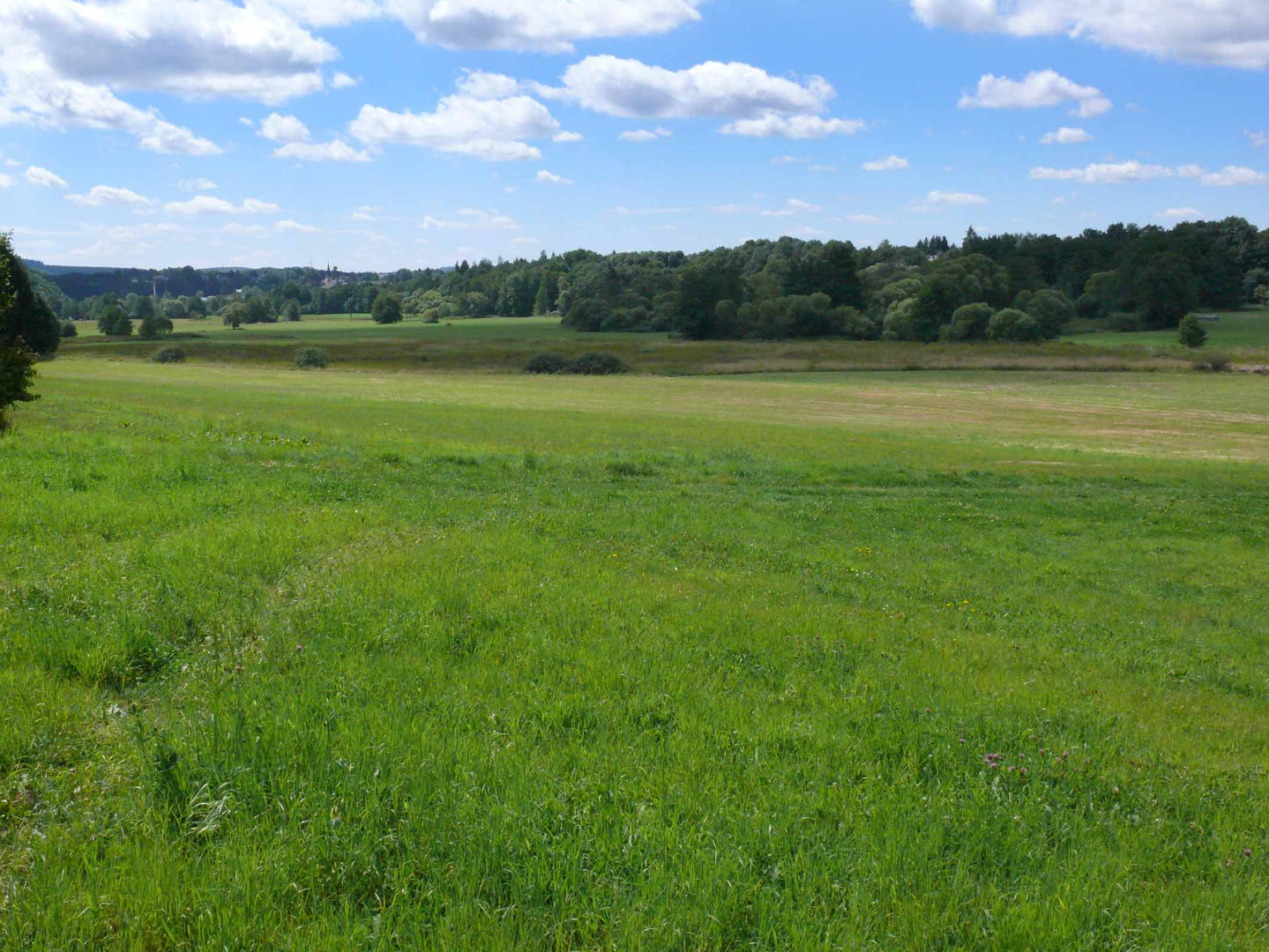 Wadrilltal bei Wedern