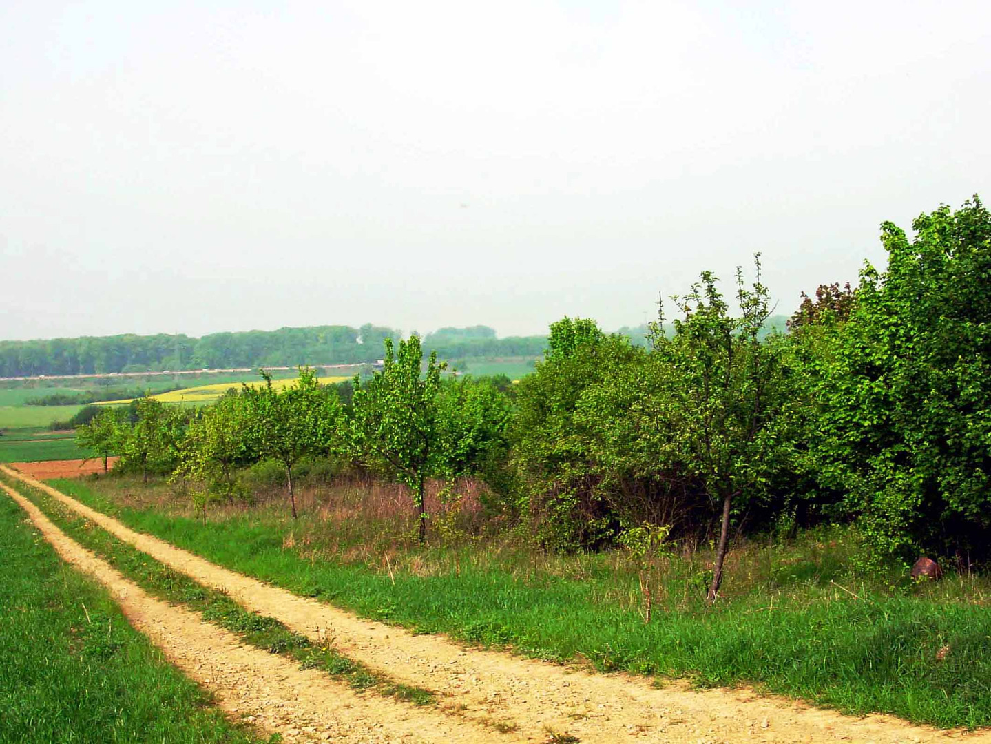 Bioptopverbundsystem Wehingen-Wellingen