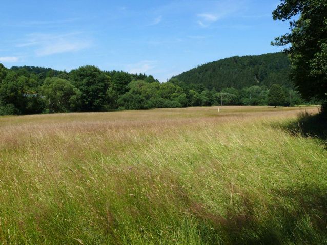 Naheaue bei Gonnesweiler