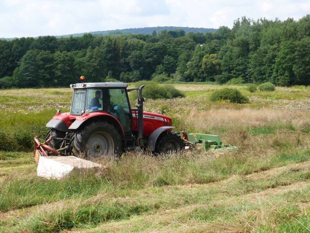 Söterbachaue bei Obersötern