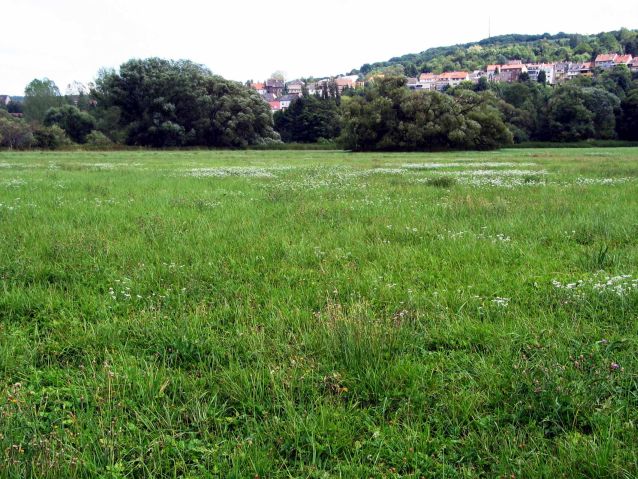 Bliesaue bei Wiebelskirchen