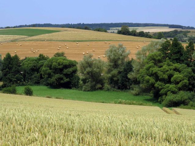 Bickenalbaue bei Peppenkum