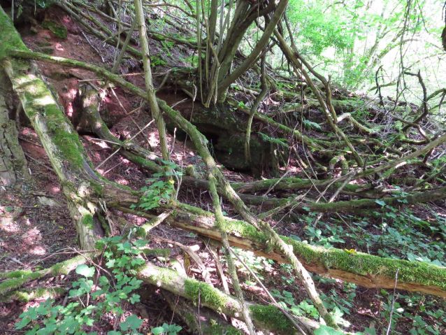 geschleifte Bunkeranlage bei Kirrberg
