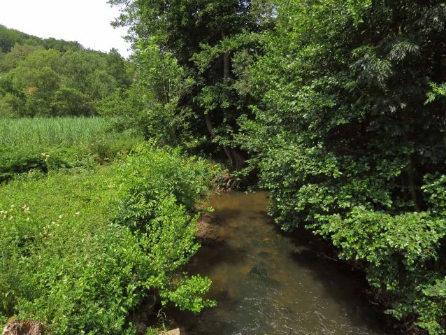 Schwalbaue bei Brenschelbach