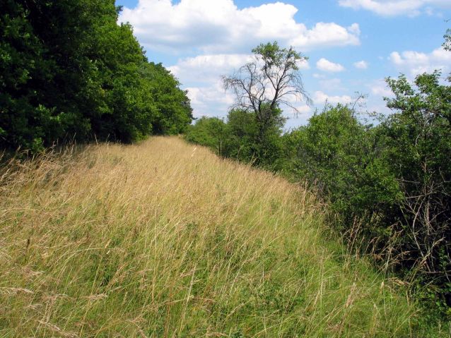 Heilige Ahnung bei Brenschelbach