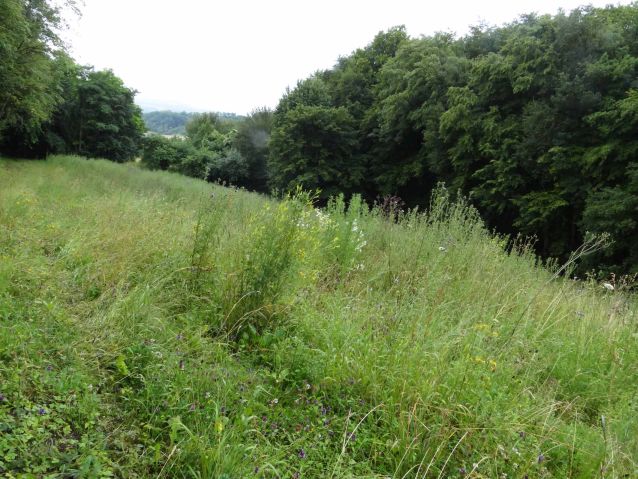 Heiligenkopf/Metzerbachtal bei Eimersdorf