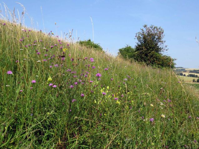 Becherbachtal bei Peppenkum