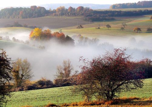 Naturschutzgebiet Badstube bei Mimbach