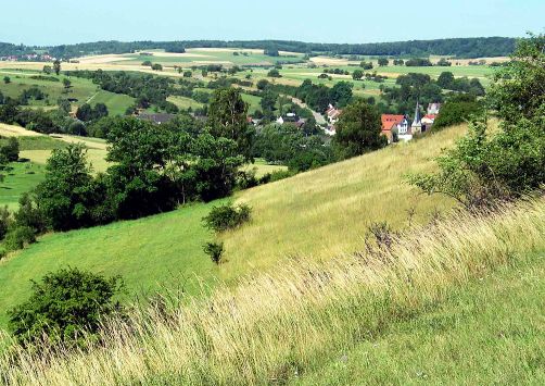 Schutzgebiet bei Altheim