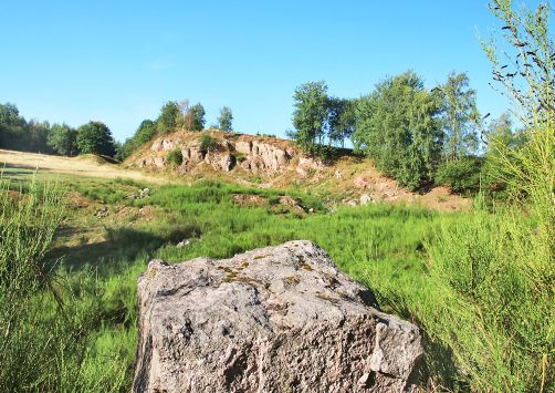 Schutzgebiet Kiesgrube Welschbach