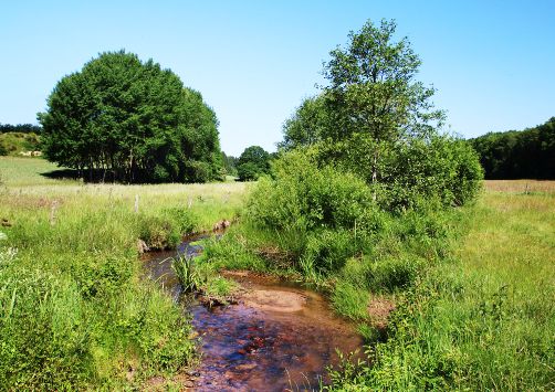 Schutzgebiet Hölzbachaue Rappweiler