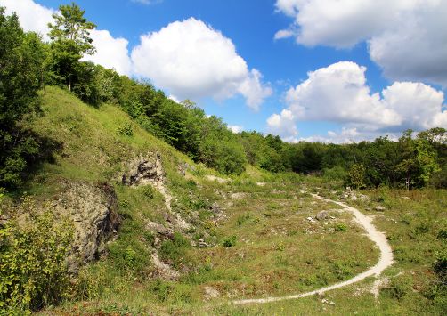 Schutzgebiet Birzberg Fechingen