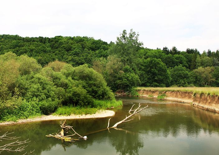 Schutzgebiet Nied bei Altdorf