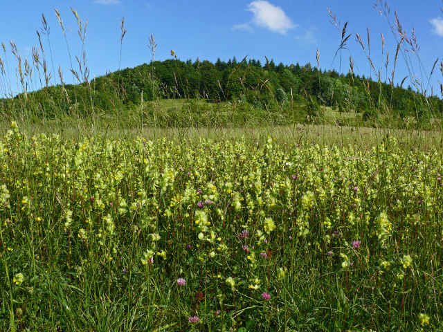 Naturschutzgroßprojekt Wolferskopf