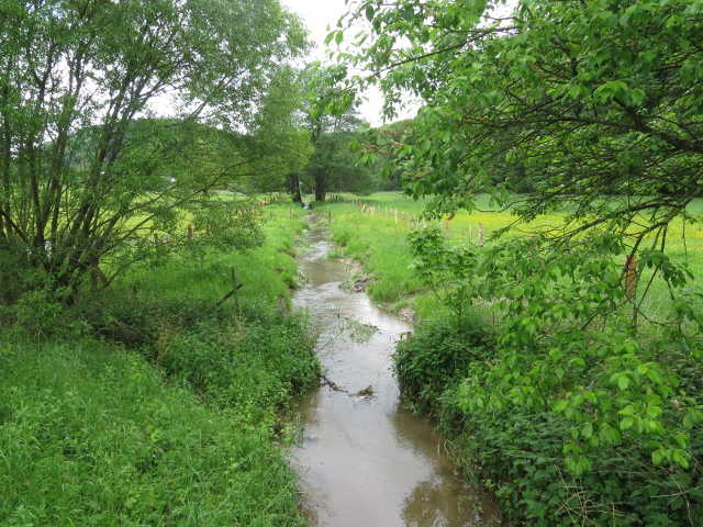 Mühlenbach bei Hargarten, nachher