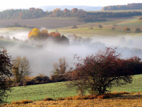 Herbststimmung im Naturschutzgebiet Badstube bei Limbach