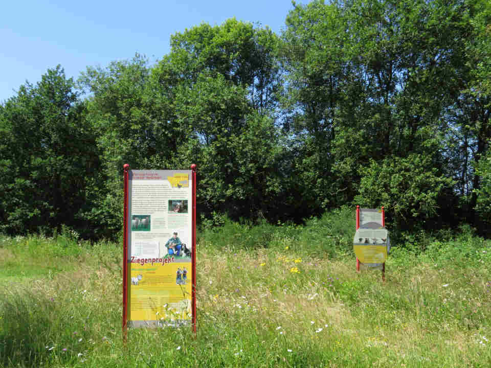 Mehrere Infotafeln in der Kiesgrube berichten über das Beweidungsprojekt sowie die Fauna und Flora des Gebietes.