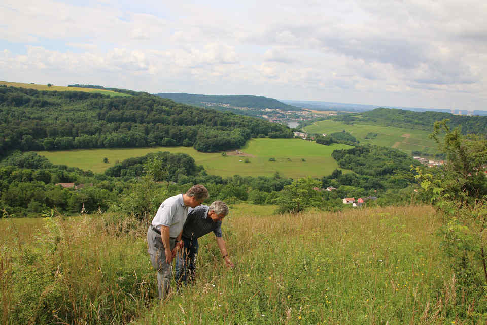 Pierre Wernain von der Partnerstiftung "Conservatoire d´espaces naturels Lorraine" und Dr. Axel Didion von der Naturlandstiftung Saar bei einer Begehung auf dem Hammelsberg im Dreiländereck am 06.07.2016.