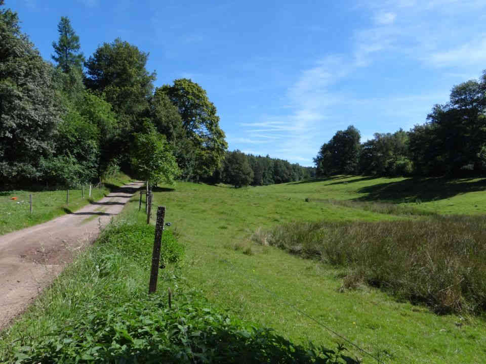 Imsbach-Promenade