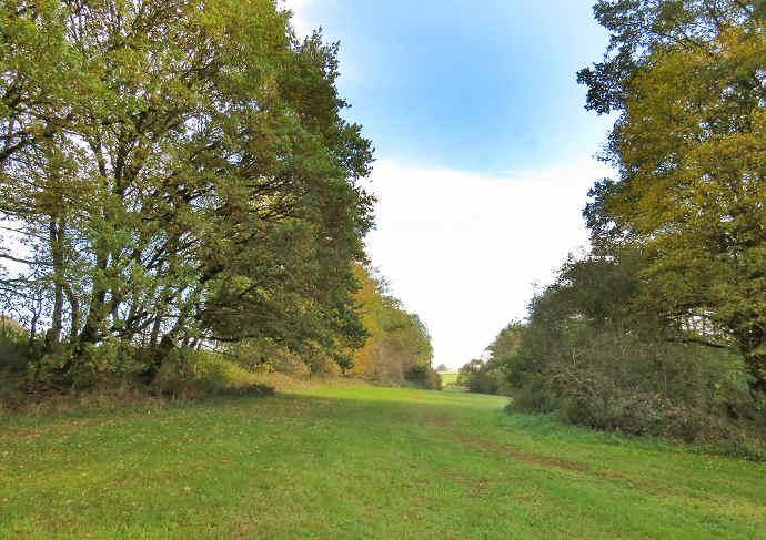 Mähweide im Ahlenbachtal bei Welschbach