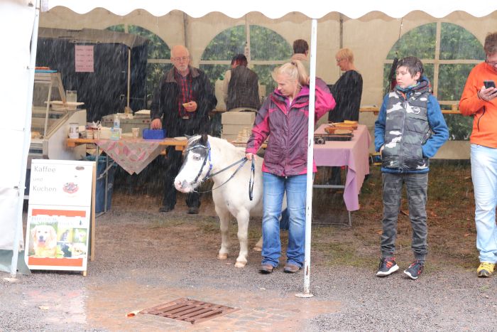 Kuchenzelt der Tierfreunde Schaumberg