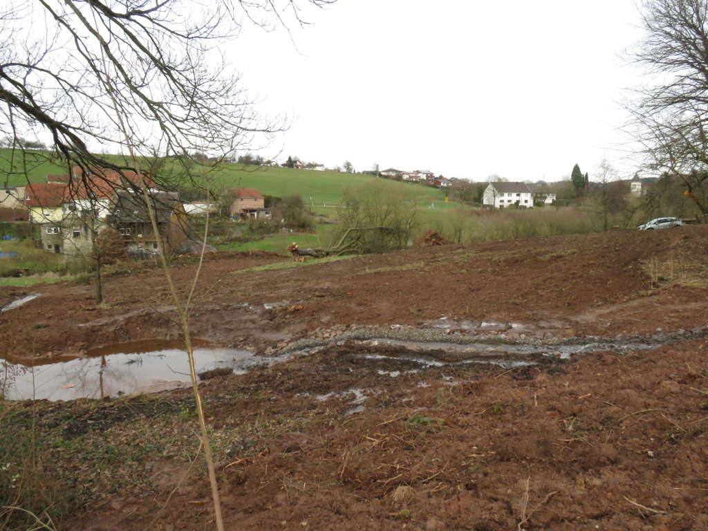 renaturierter Wasserlauf, nachher, gleicher Standort