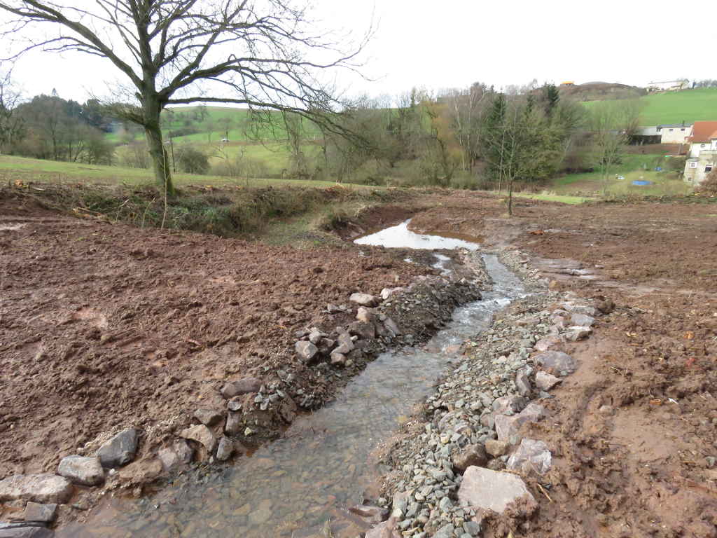 neu angelegter Wasserlauf