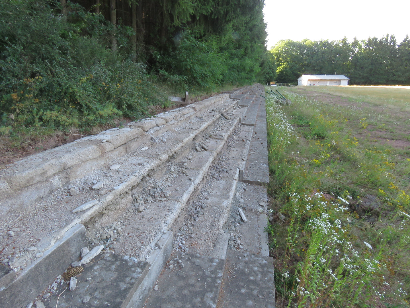 Rückbau Kohlwald-Stadion