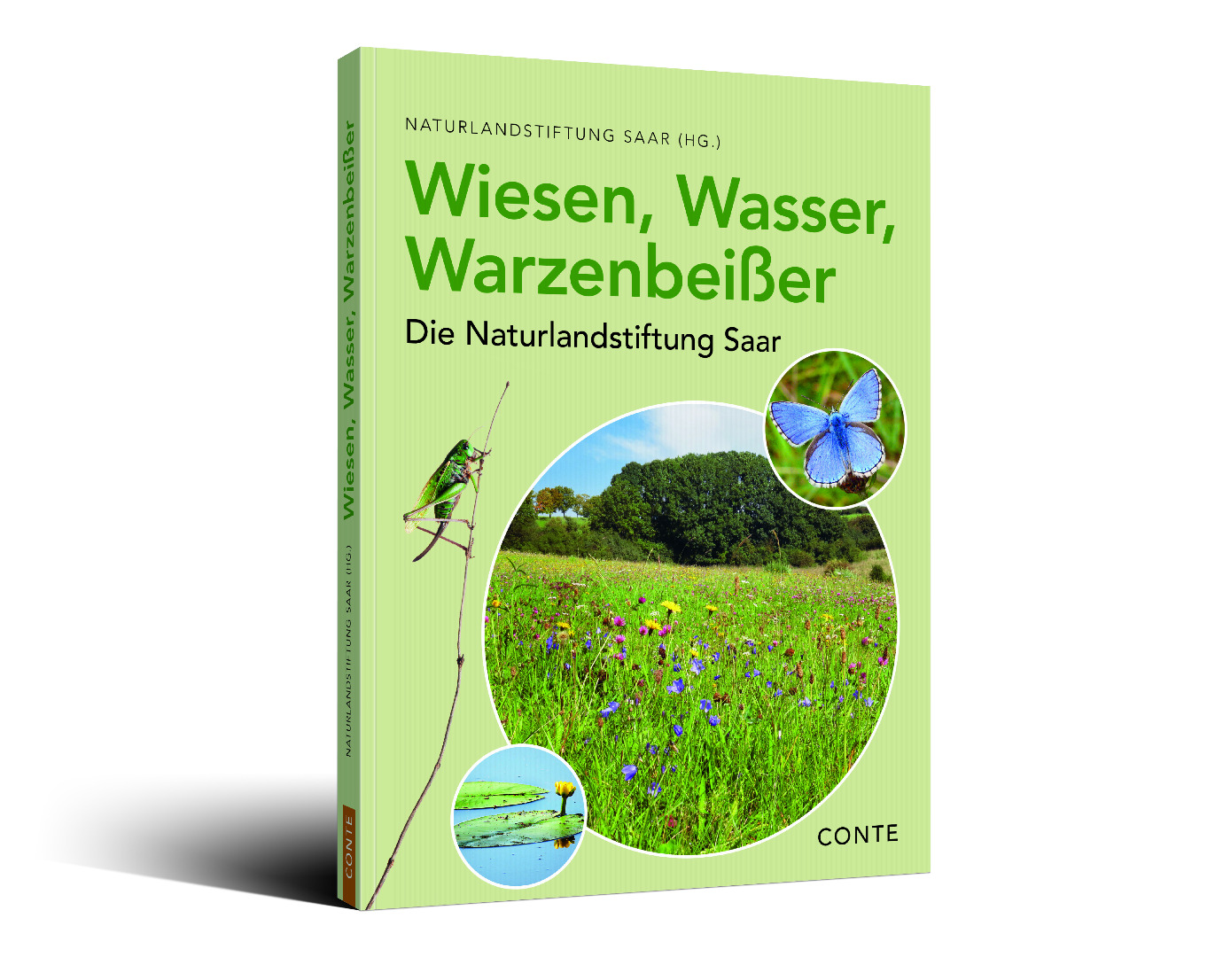 Neues Buch der NLS