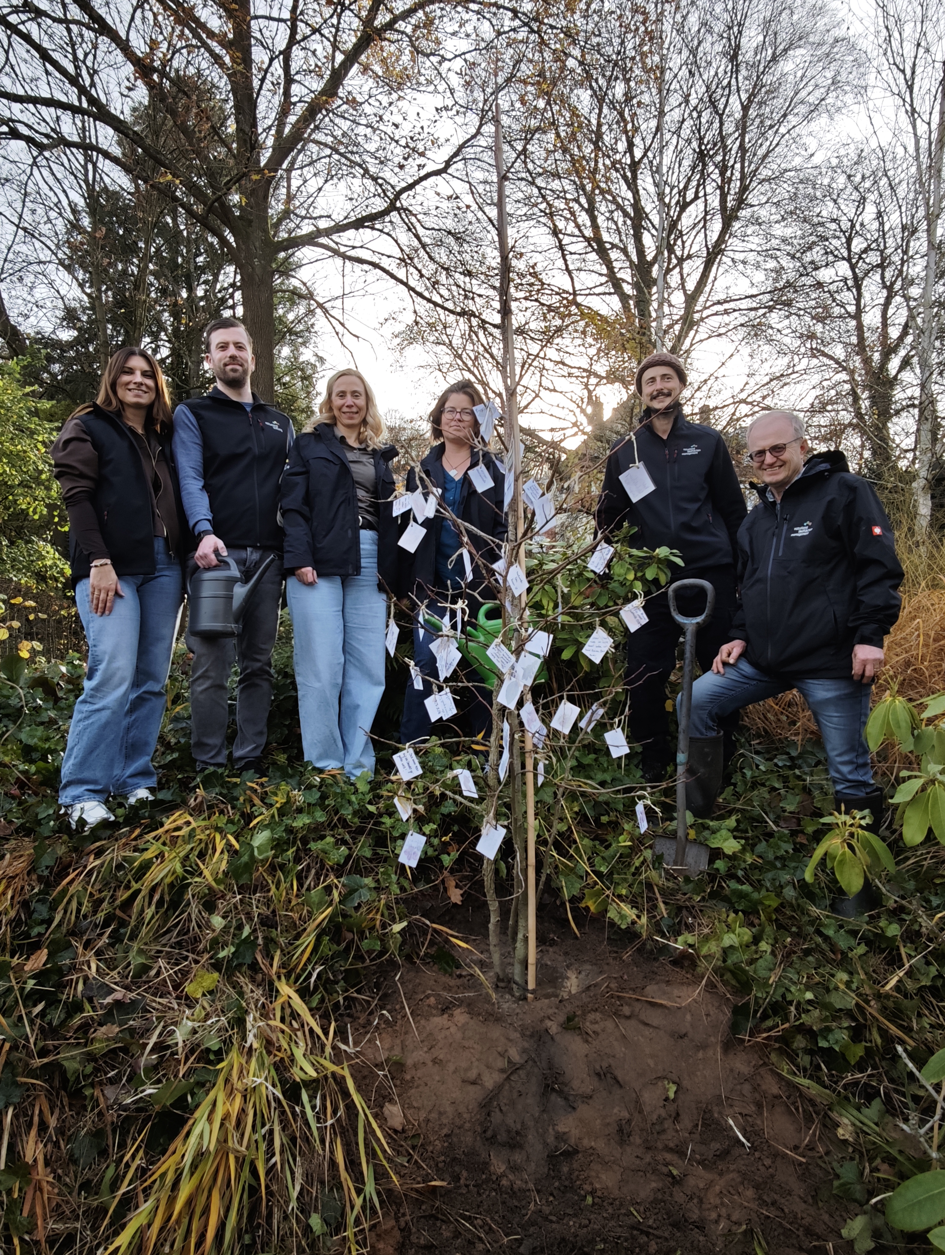 Einheitsbaum mit Wünschen für die Natur eingepflanzt